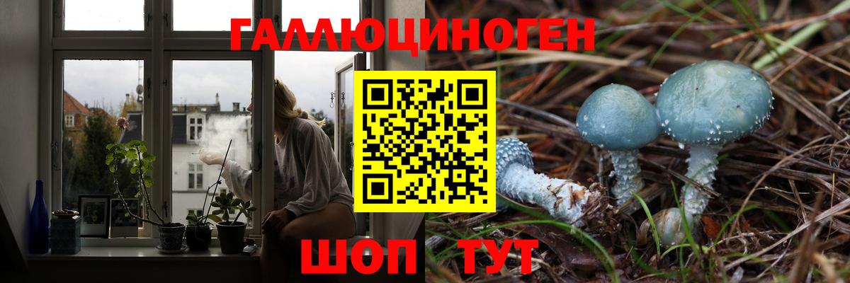Псилоцибиновые грибы ЛСД  Вход с VPN  Псилоцибиновые грибы прущие грибы  Алатырь 