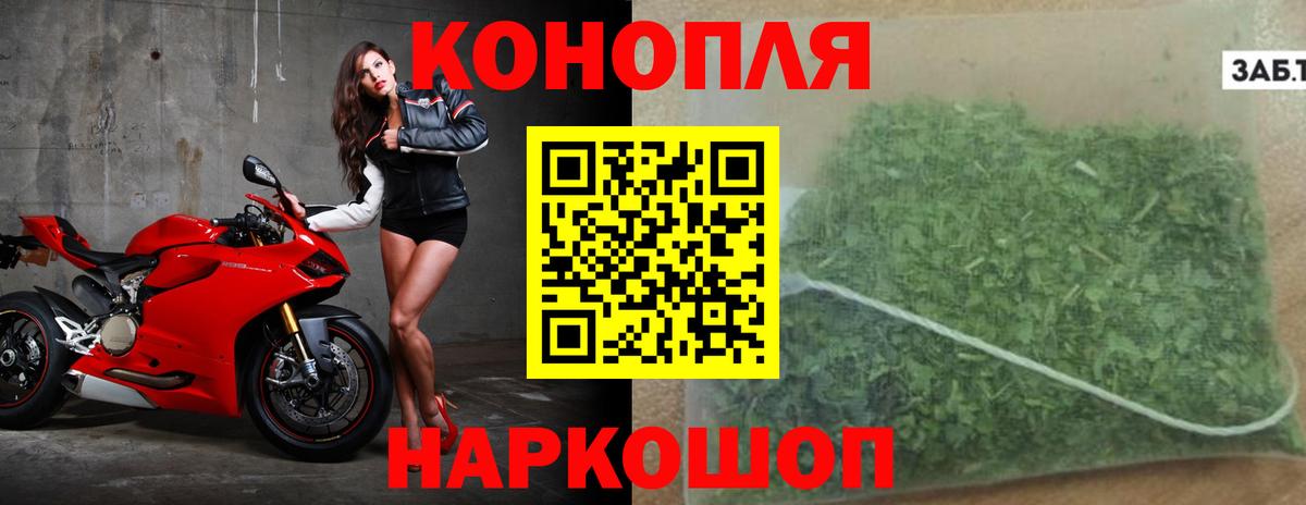 Шишки марихуана план  Вход с VPN  Шишки марихуана тримм  Алатырь 